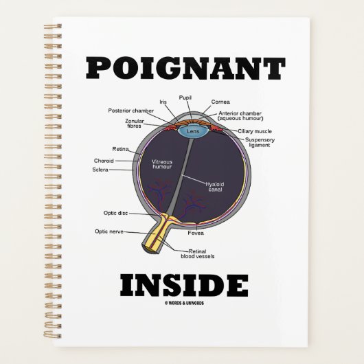 Poignant oog (I) in anatomisch eyeball Planner (Voorkant)