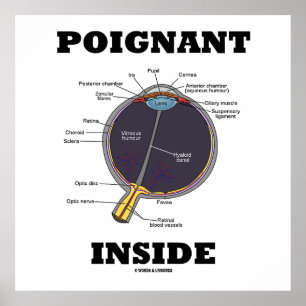 Poignant oog (I) Inside (anatomisch eyeball) Poster