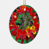 Poinciana (ohai-ali'i) Hawaiian Flower Ornament (Rechts)