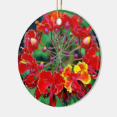 Poinciana (ohai-ali'i) Hawaiian Flower Ornament (Links)