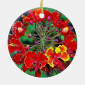 Poinciana (ohai-ali'i) Hawaiian Flower Ornament (Achterkant)