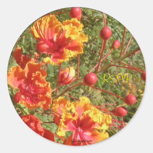 Poinciana Tropical Wedding Envelope zegels/Sticker Ronde Sticker