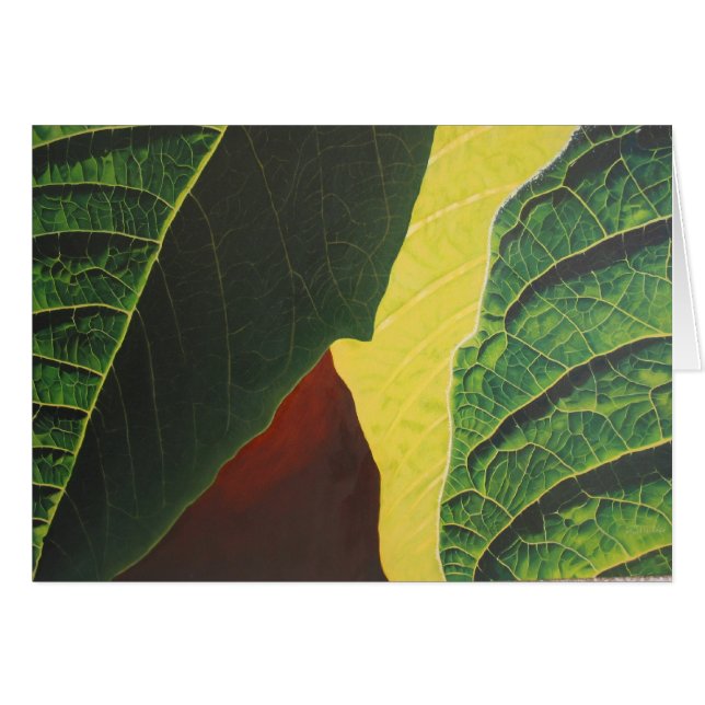 Poinsettia (Voorkant Horizontaal)