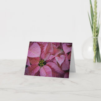 Poinsettia (2) bedankkaart