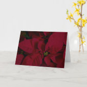 Poinsettia #7 kaart (Gele Bloem)