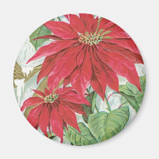  Poinsettia afbeelding. Magneet (Voorkant)