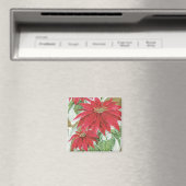  Poinsettia afbeelding. Magneet (Insitu (Vaatwasser))