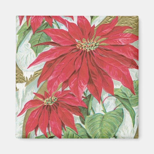 Poinsettia afbeelding. Magneet (Voorkant)