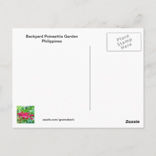 Poinsettia Backyard Briefkaart (Achterkant)