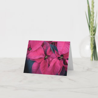 Poinsettia Bedankkaart