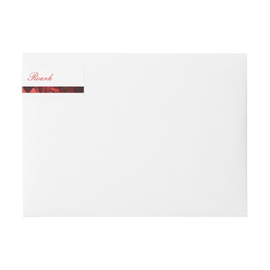 Poinsettia Bloemblaadjes Bar Script en Serif (Voorkant)