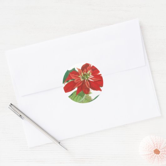 Poinsettia Botanisch Ronde Sticker (Envelop)