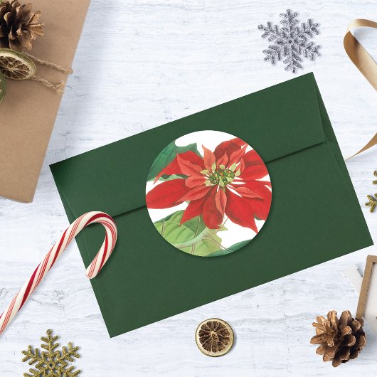  Poinsettia Botanisch Ronde Sticker