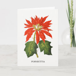 Poinsettia botanische print feestdagen kaart