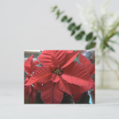 Poinsettia Briefkaart (Staand voorkant)