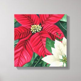 Poinsettia Canvas Afdruk