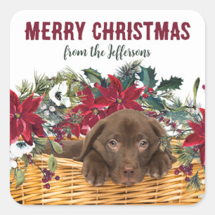Poinsettia Chocolade Lab Puppy Kerstmis Vierkante Sticker