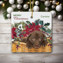 Poinsettia Chocolate Labrador kerstmandje