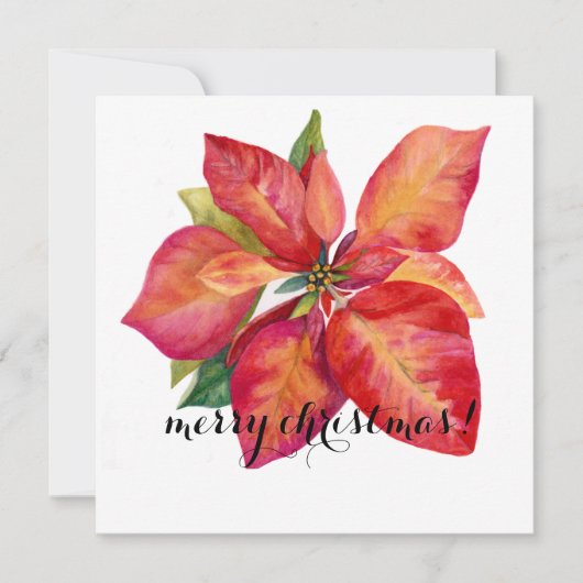 Poinsettia Christmas Card Feestdagenkaart (Voorkant)