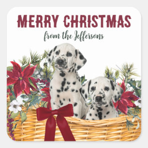 Poinsettia Dalmatische Puppies Kerstmand Vierkante Sticker