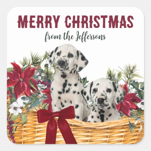 Poinsettia Dalmatische Puppies Kerstmand Vierkante Sticker (Voorkant)