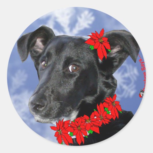 Poinsettia Daphne Ronde Sticker (Voorkant)