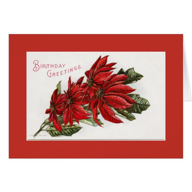 Poinsettia December Wenskaart (Voorkant Horizontaal)