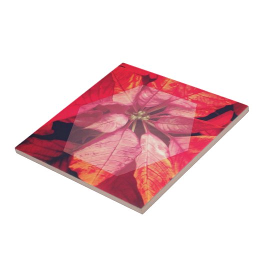 Poinsettia Digital Art Tegeltje (Zijkant)