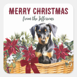 Poinsettia Doberman Pinscher Kerstmand Vierkante Sticker