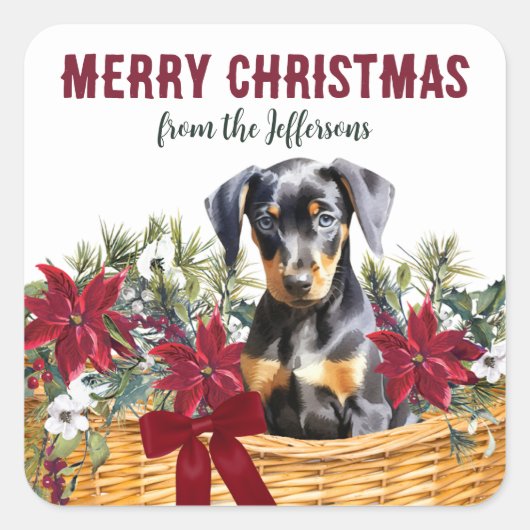 Poinsettia Doberman Pinscher Kerstmand Vierkante Sticker (Voorkant)