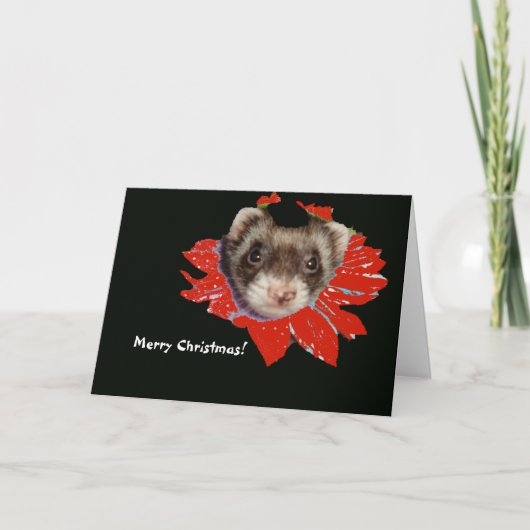 Poinsettia Ferret Christmas Kaart (Voorkant)