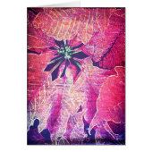 Poinsettia Flower Digital Art (Voorkant)
