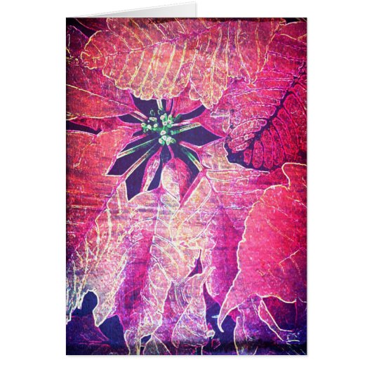 Poinsettia Flower Digital Art (Voorkant)
