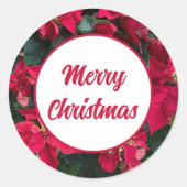 Poinsettia Foto Rood Vrolijk Kerstfeest Ronde Sticker (Voorkant)