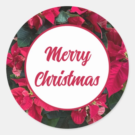 Poinsettia Foto Rood Vrolijk Kerstfeest Ronde Sticker (Voorkant)