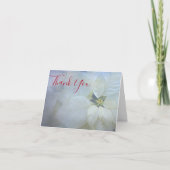 Poinsettia funeral thank you card feestdagen kaart (Voorkant)