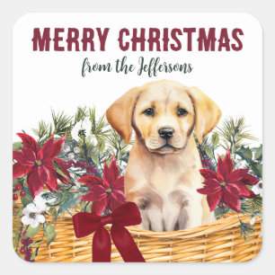 Poinsettia Gele Labrador Retriever Basket Vierkante Sticker