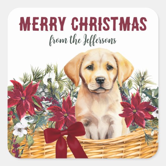 Poinsettia Gele Labrador Retriever Basket Vierkante Sticker (Voorkant)