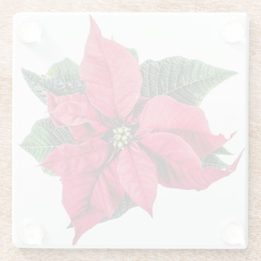 Poinsettia Glazen Onderzetter (Achterkant)