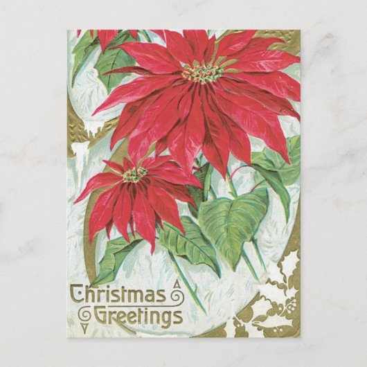  Poinsettia Illustratie Briefkaart (Voorkant)