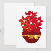Poinsettia in een fase feestdagenkaart (Voorkant / Achterkant)