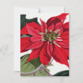 Poinsettia Kaart (Voorkant)