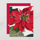 Poinsettia Kaart (Voorkant / Achterkant)