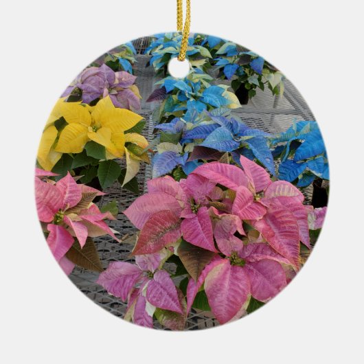 Poinsettia Keramisch Ornament (Voorkant)