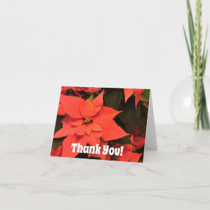 Poinsettia Kerst Dankjewel Kaarten Blanco Binnenka