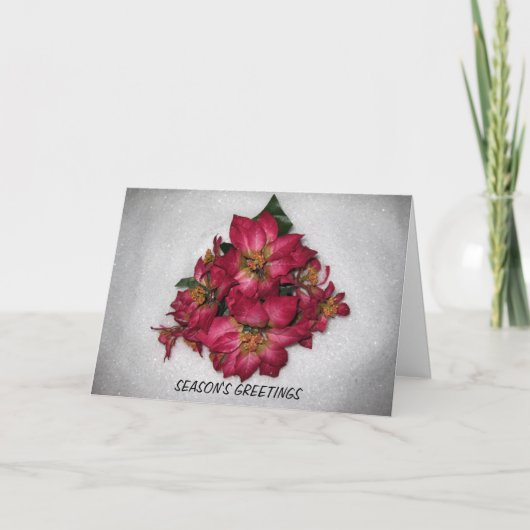 POINSETTIA KERST KAART (Voorkant)