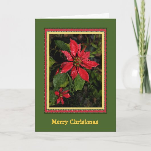  Poinsettia kerst Kaart (Voorkant)