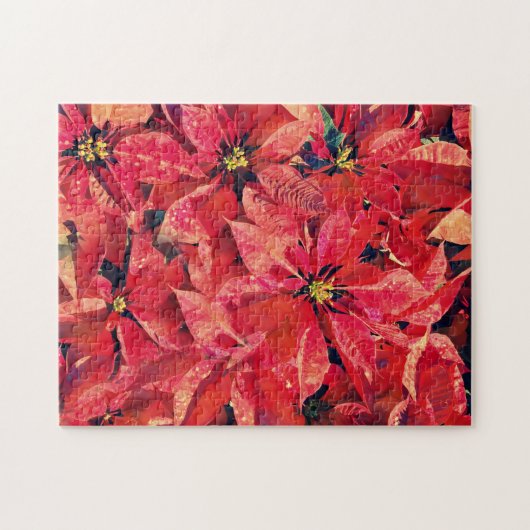 Poinsettia Kerst Rode Bloemen Kunstpuzzel Legpuzzel (Horizontaal)