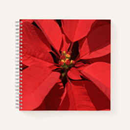 Poinsettia Kerstjournaal Notitieboek