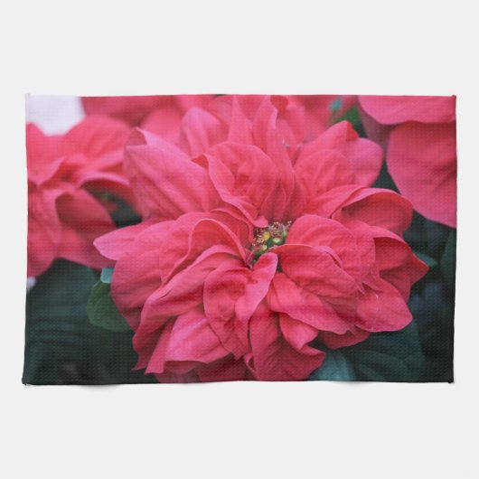 Poinsettia Kitchen Towel Theedoek (Horizontaal)
